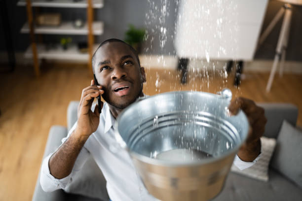 Best Commercial water damage restoration  in Madisonville, TX