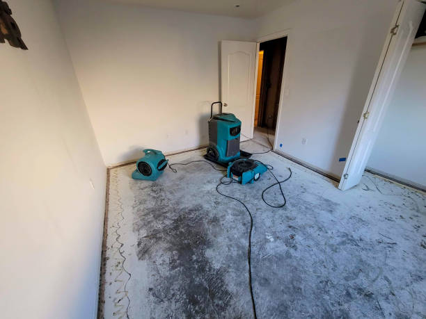 Best Flood damage cleanup  in Madisonville, TX
