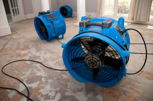 Best Fire Damage Restoration  in Madisonville, TX
