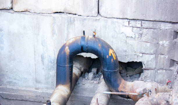 Best Mold removal after water damage  in Madisonville, TX